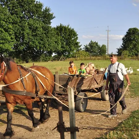 Agrowczasy 